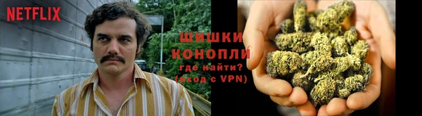 трава Алексин