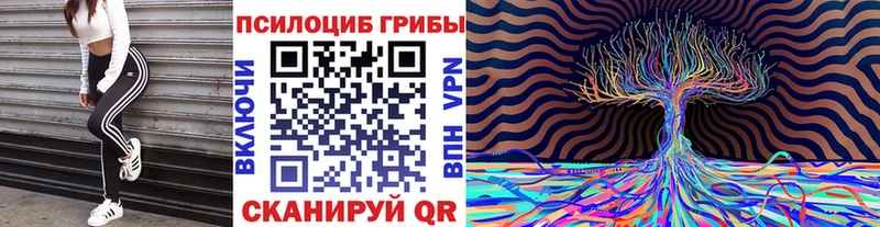 Галлюциногенные грибы Magic Shrooms  дарнет шоп  Димитровград 